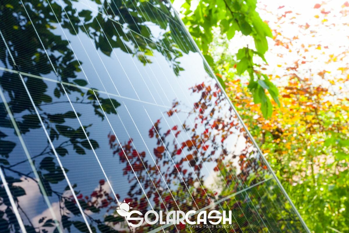 Agevolazioni fotovoltaico aziende 2023: quali potrebbero rimanere in vigore?