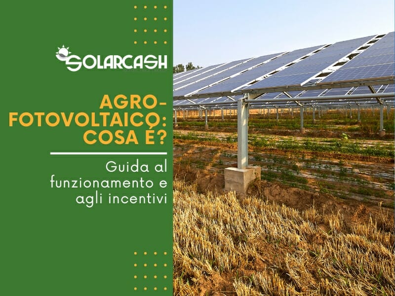 Cosa è l'agrofotovoltaico? Guida al funzionamento e agli incentivi