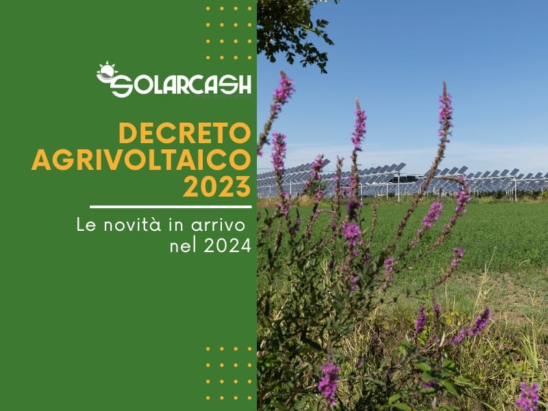 Decreto agrivoltaico: le novità in arrivo nel 2024